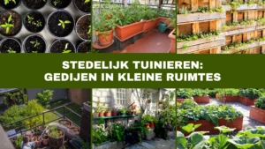 Stedelijk tuinieren - Detuins blog